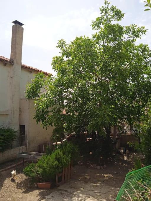 Το Μικρό Σπίτι Στη Φάρμα! Lägenhet Acharnes Exteriör bild