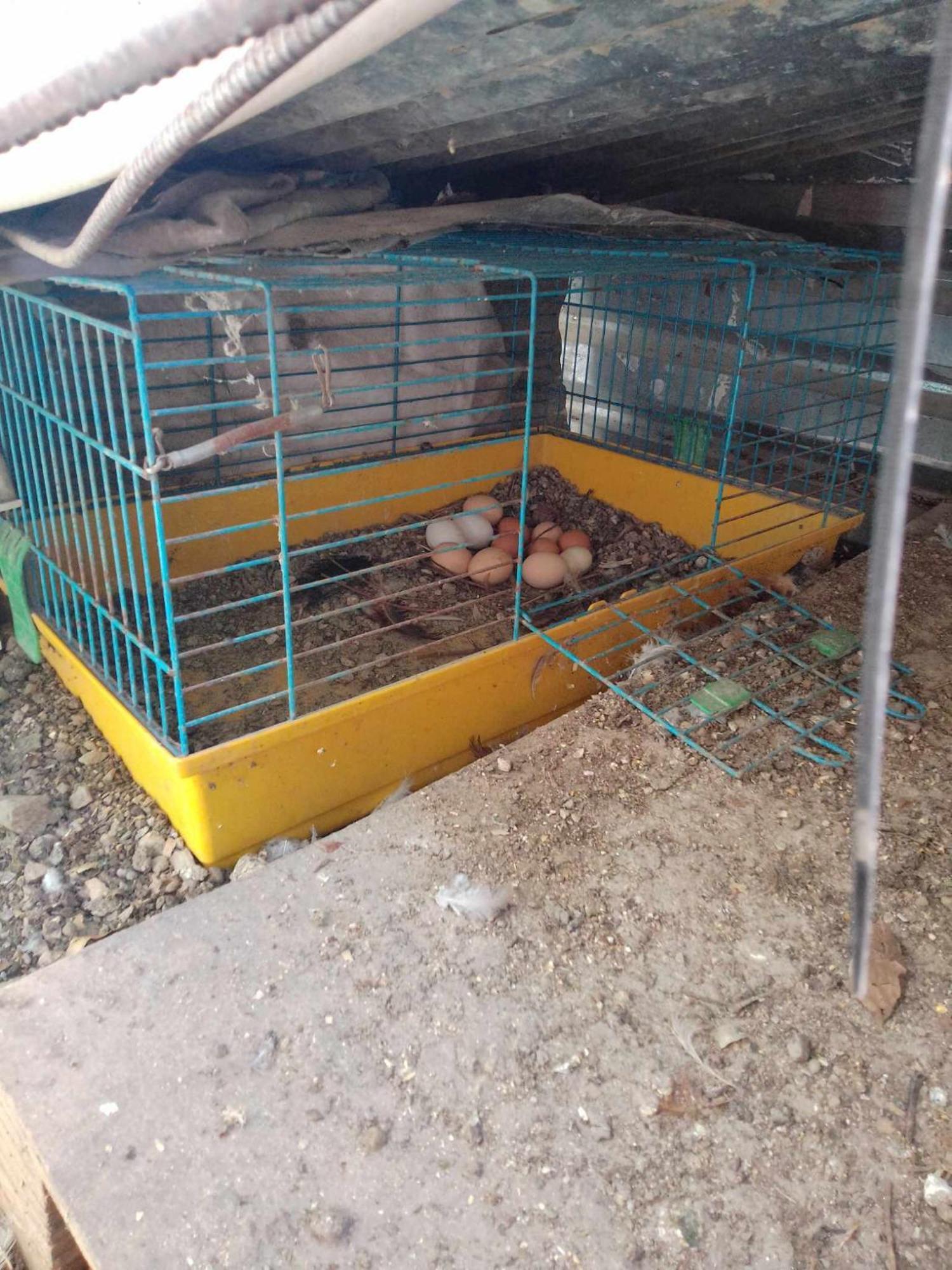 Το Μικρό Σπίτι Στη Φάρμα! Lägenhet Acharnes Exteriör bild